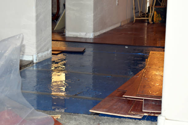 Professional Basement Flood Cleanup technician working in Vincent, AL